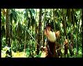 PDVD_2744