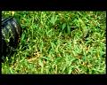 PDVD_2751