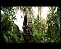 PDVD_2764