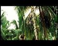 PDVD_2766