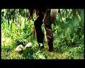 PDVD_2767