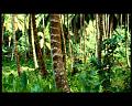 PDVD_2771