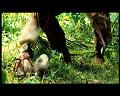 PDVD_2773
