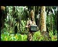 PDVD_2776