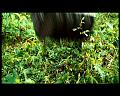 PDVD_2777