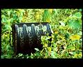 PDVD_2778