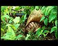 PDVD_2780