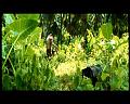 PDVD_2781