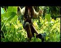 PDVD_2783