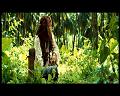 PDVD_2787