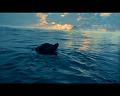 PDVD_280