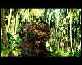 PDVD_2805