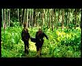 PDVD_2808