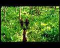 PDVD_2809