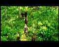 PDVD_2810