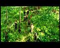 PDVD_2811
