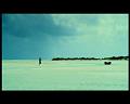 PDVD_2814