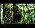 PDVD_2832