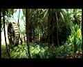 PDVD_2833