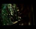 PDVD_2911