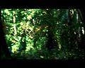 PDVD_2912