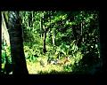 PDVD_2913