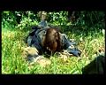 PDVD_2914