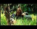 PDVD_2915