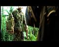 PDVD_2921