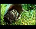 PDVD_2922