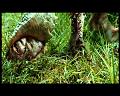 PDVD_2926