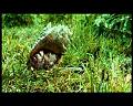 PDVD_2927
