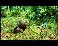PDVD_2930