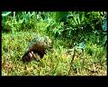 PDVD_2931
