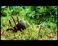 PDVD_2932