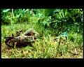 PDVD_2933