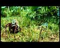 PDVD_2934
