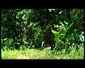 PDVD_2935