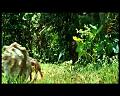 PDVD_2936