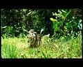 PDVD_2937