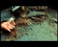 PDVD_3445