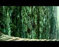 PDVD_641