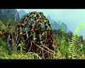 PDVD_699