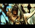 PDVD_701