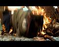 PDVD_705