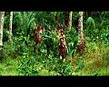 PDVD_710