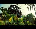 PDVD_715