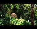 PDVD_718