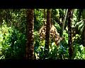 PDVD_719