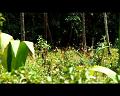 PDVD_729